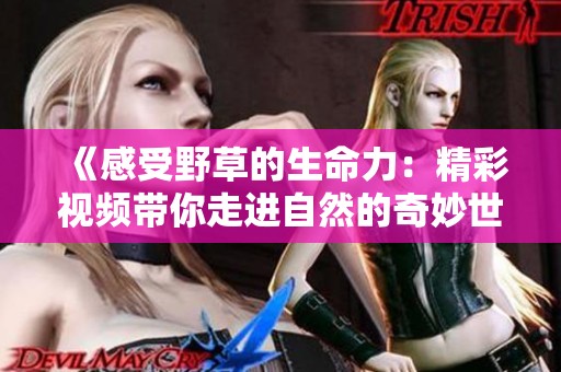 《感受野草的生命力：精彩视频带你走进自然的奇妙世界》