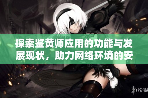 探索鉴黄师应用的功能与发展现状，助力网络环境的安全与健康