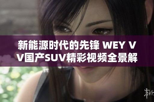 新能源时代的先锋 WEY VV国产SUV精彩视频全景解析