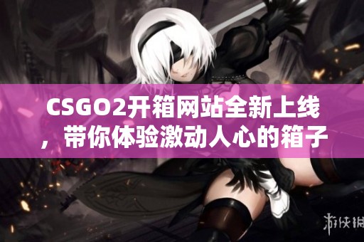 CSGO2开箱网站全新上线，带你体验激动人心的箱子开取乐趣