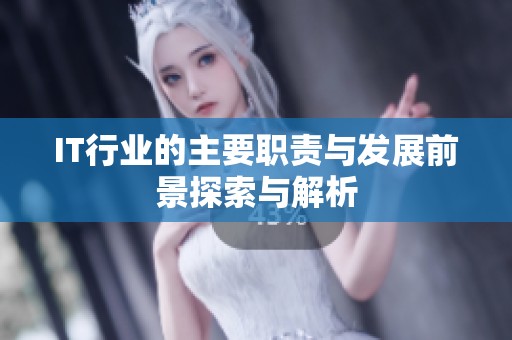 IT行业的主要职责与发展前景探索与解析
