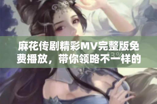 麻花传剧精彩MV完整版免费播放，带你领略不一样的视听盛宴