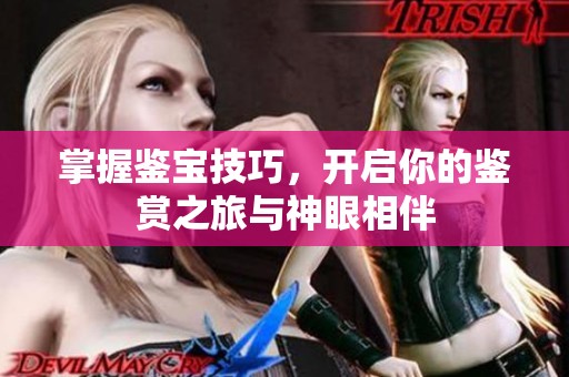 掌握鉴宝技巧，开启你的鉴赏之旅与神眼相伴