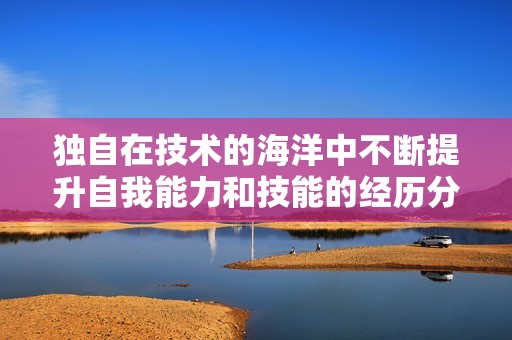 独自在技术的海洋中不断提升自我能力和技能的经历分享