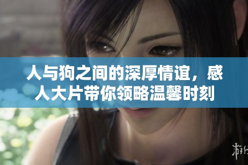 人与狗之间的深厚情谊，感人大片带你领略温馨时刻