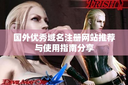 国外优秀域名注册网站推荐与使用指南分享
