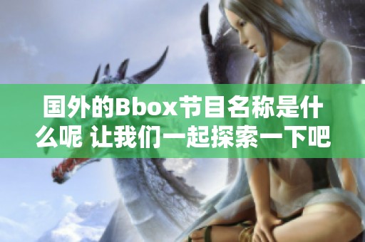 国外的Bbox节目名称是什么呢 让我们一起探索一下吧