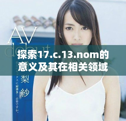 探索17.c.13.nom的意义及其在相关领域中的应用价值