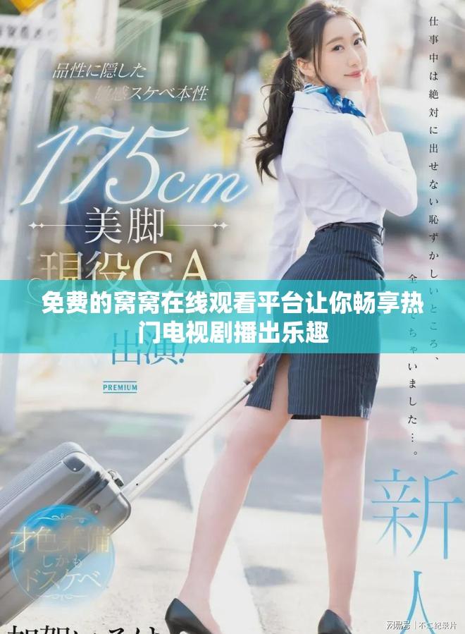 免费的窝窝在线观看平台让你畅享热门电视剧播出乐趣