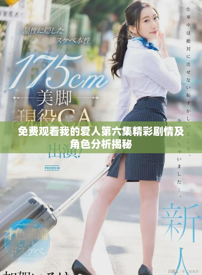 免费观看我的爱人第六集精彩剧情及角色分析揭秘
