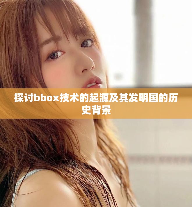 探讨bbox技术的起源及其发明国的历史背景