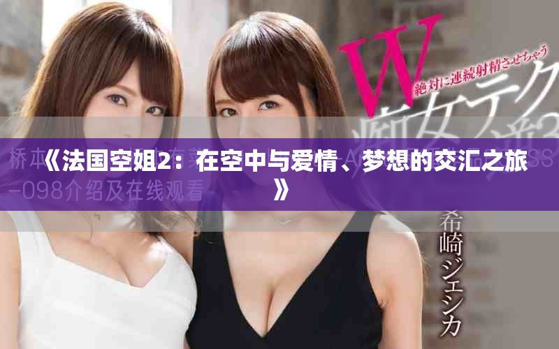 《法国空姐2：在空中与爱情、梦想的交汇之旅》