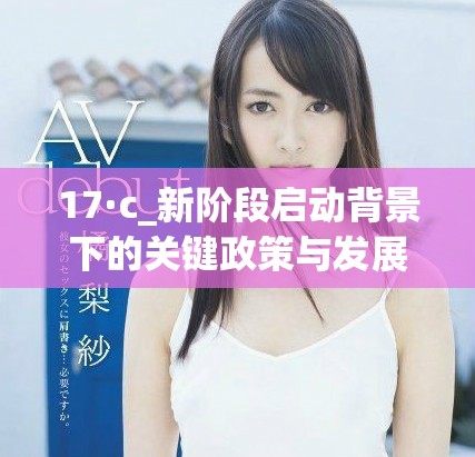 17·c_新阶段启动背景下的关键政策与发展方向解析