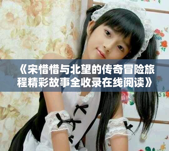 《宋惜惜与北望的传奇冒险旅程精彩故事全收录在线阅读》