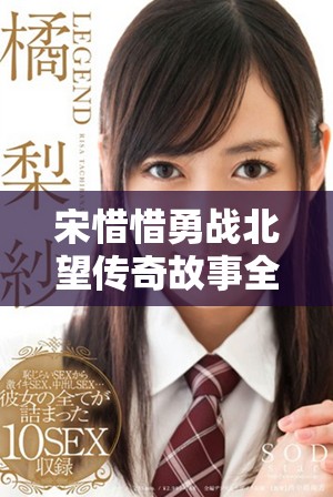 宋惜惜勇战北望传奇故事全文阅读无广告分享