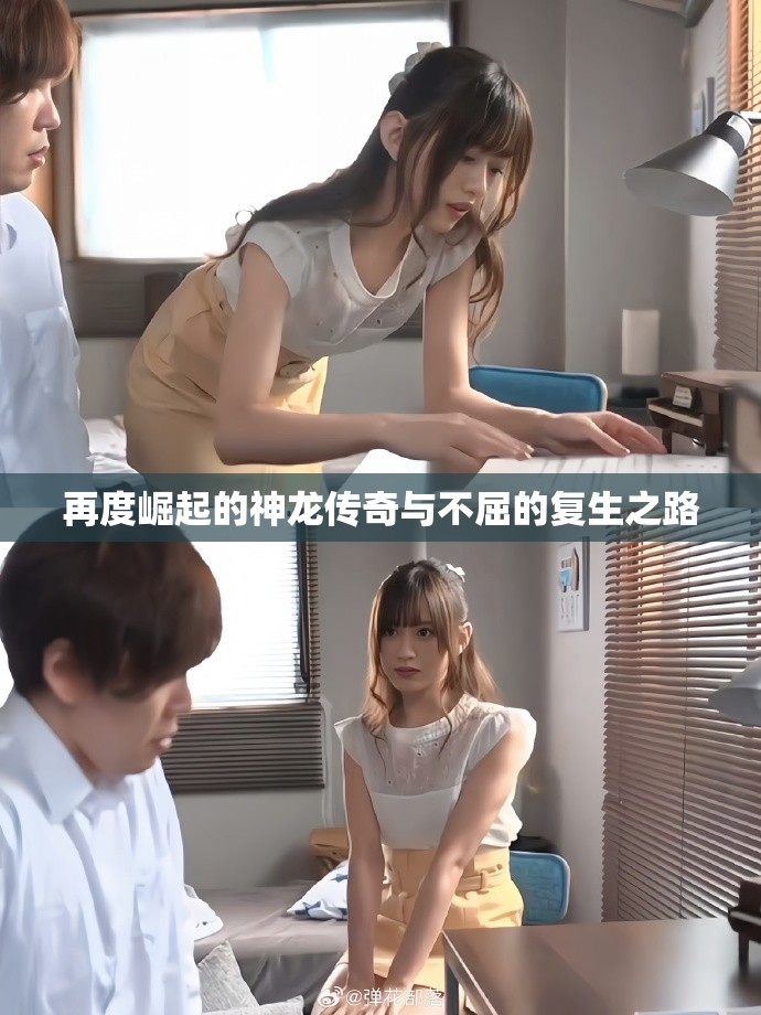 再度崛起的神龙传奇与不屈的复生之路