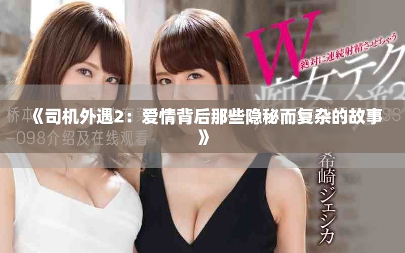 《司机外遇2：爱情背后那些隐秘而复杂的故事》