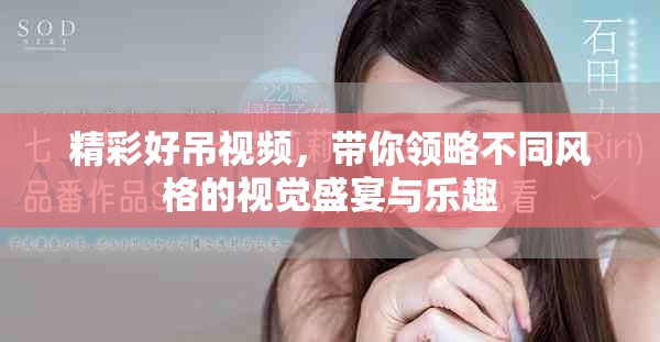 精彩好吊视频，带你领略不同风格的视觉盛宴与乐趣