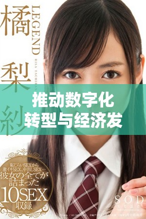 推动数字化转型与经济发展共融的全新战略探讨