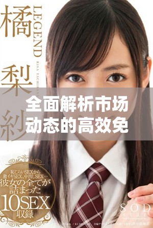 全面解析市场动态的高效免费行情软件推荐与使用指南