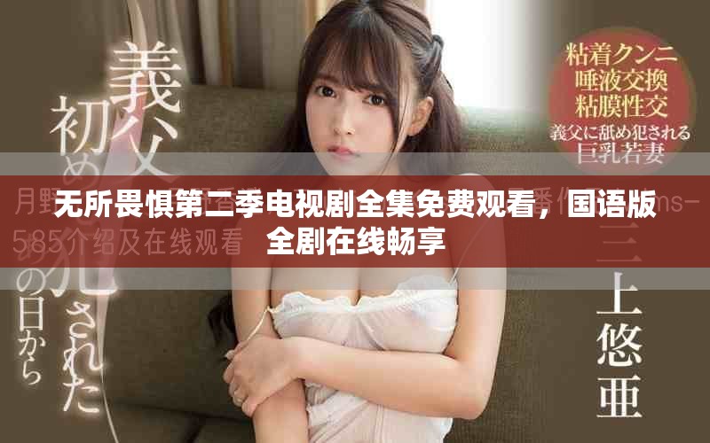 无所畏惧第二季电视剧全集免费观看，国语版全剧在线畅享