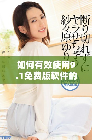 如何有效使用9.1免费版软件的详细操作指南