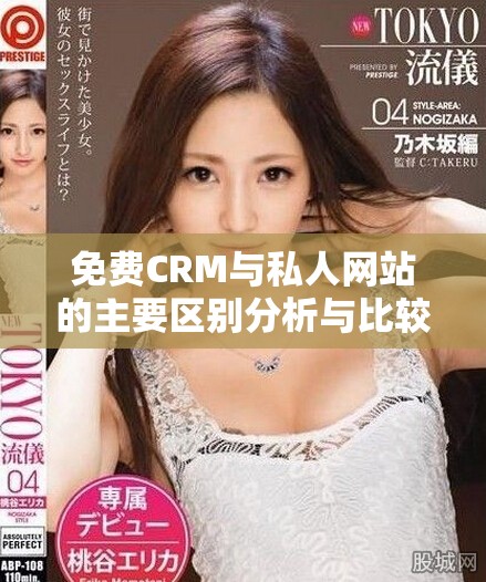 免费CRM与私人网站的主要区别分析与比较