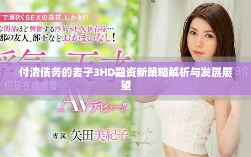 付清债务的麦子3HD融资新策略解析与发展展望