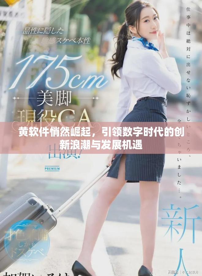 黄软件悄然崛起，引领数字时代的创新浪潮与发展机遇
