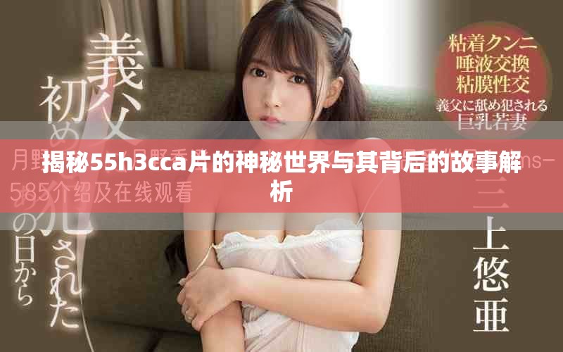 揭秘55h3cca片的神秘世界与其背后的故事解析