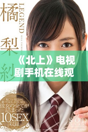 《北上》电视剧手机在线观看，精彩剧情尽在掌握，快来观看吧！