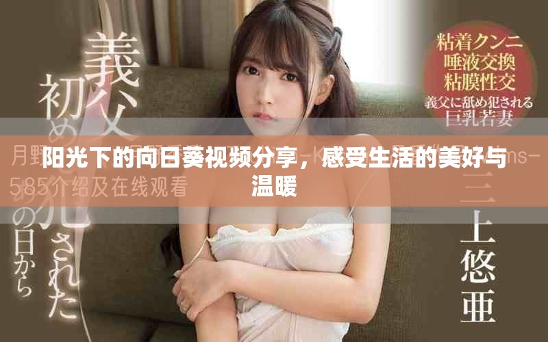 阳光下的向日葵视频分享，感受生活的美好与温暖
