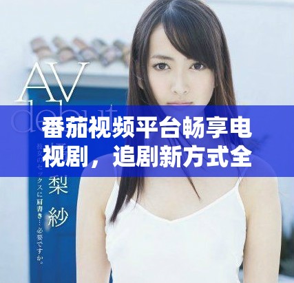 番茄视频平台畅享电视剧，追剧新方式全体验