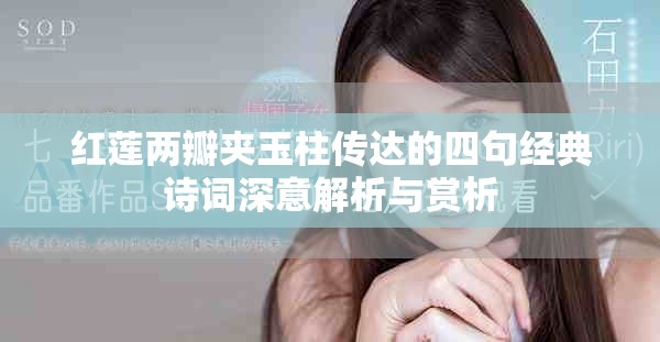 红莲两瓣夹玉柱传达的四句经典诗词深意解析与赏析