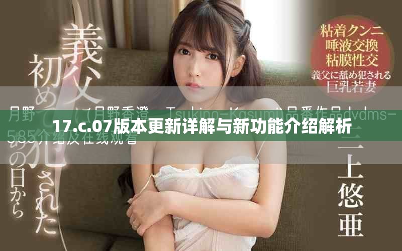 17.c.07版本更新详解与新功能介绍解析