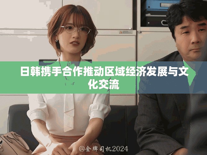 日韩携手合作推动区域经济发展与文化交流