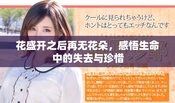 花盛开之后再无花朵，感悟生命中的失去与珍惜
