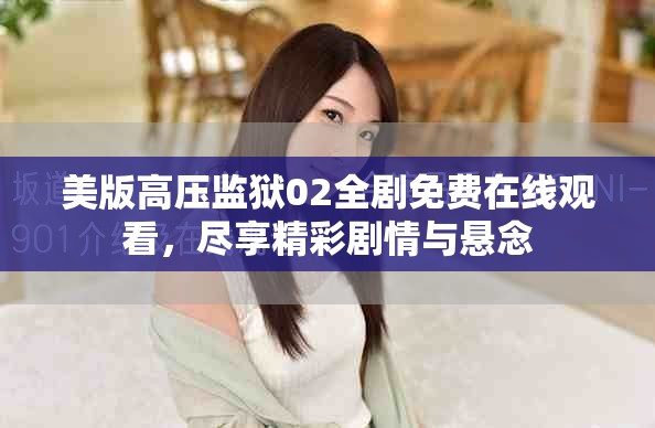美版高压监狱02全剧免费在线观看，尽享精彩剧情与悬念