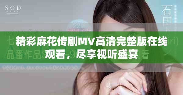 精彩麻花传剧MV高清完整版在线观看，尽享视听盛宴
