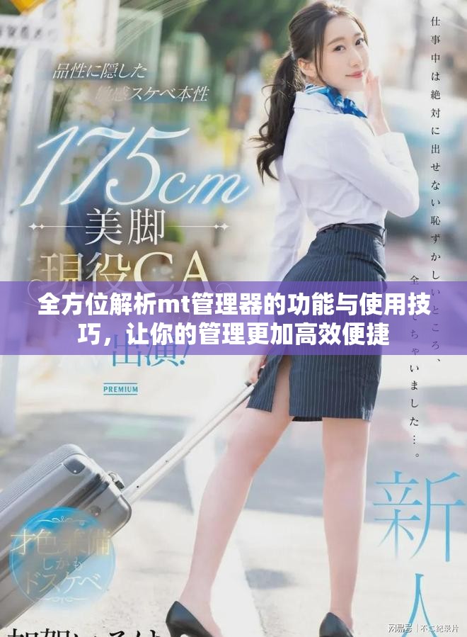 全方位解析mt管理器的功能与使用技巧，让你的管理更加高效便捷