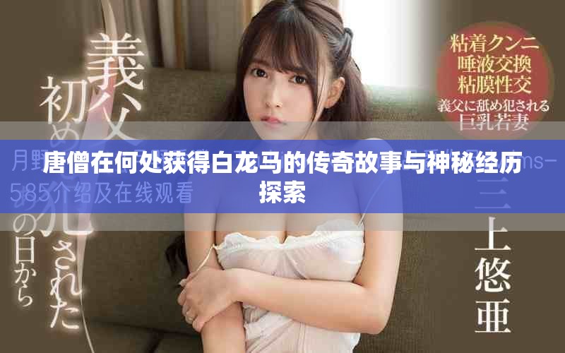 唐僧在何处获得白龙马的传奇故事与神秘经历探索