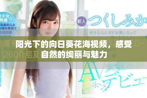 阳光下的向日葵花海视频，感受自然的绚丽与魅力