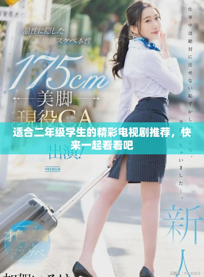 适合二年级学生的精彩电视剧推荐，快来一起看看吧