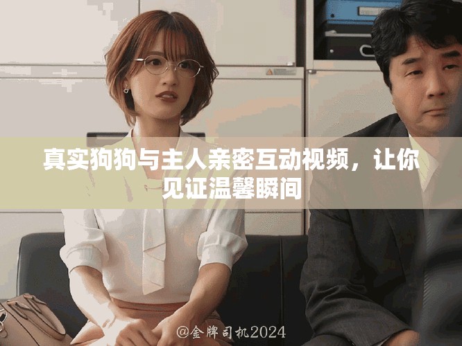 真实狗狗与主人亲密互动视频，让你见证温馨瞬间