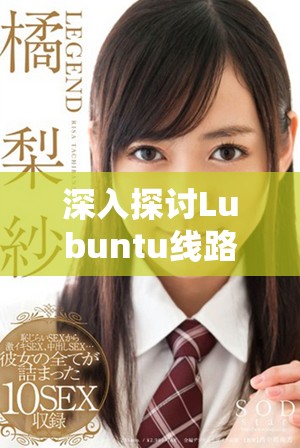深入探讨Lubuntu线路检测1的技术原理与应用分析