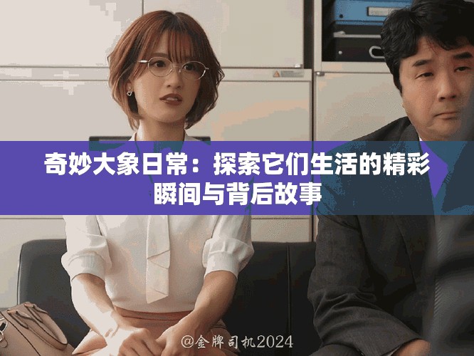 奇妙大象日常：探索它们生活的精彩瞬间与背后故事