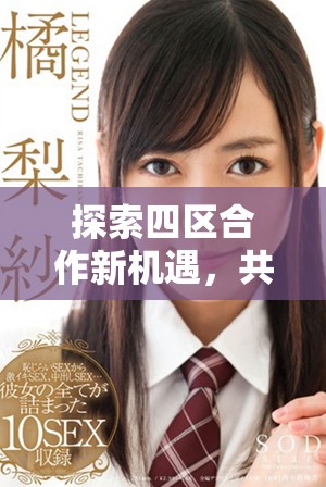 探索四区合作新机遇，共创未来发展新局面