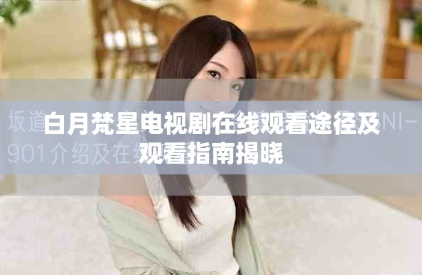 白月梵星电视剧在线观看途径及观看指南揭晓
