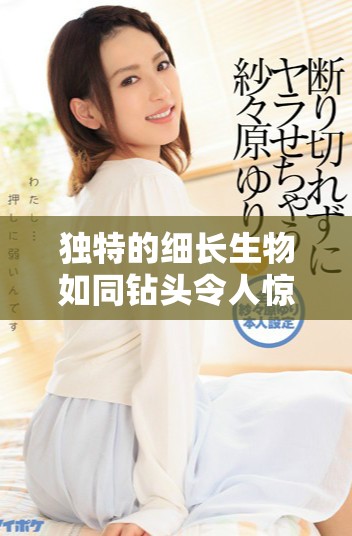 独特的细长生物如同钻头令人惊叹的奇特形态