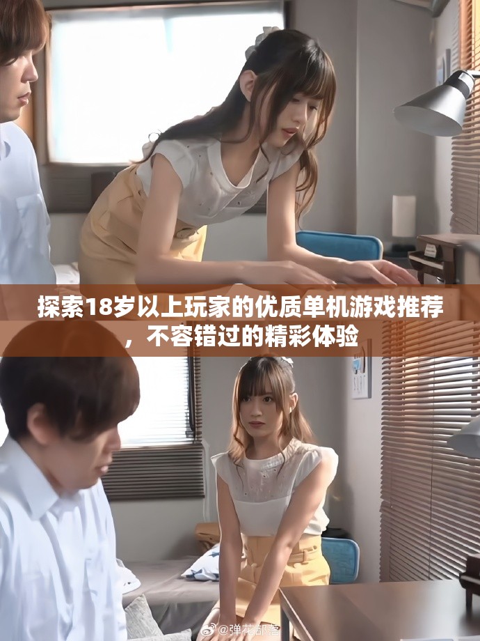 探索18岁以上玩家的优质单机游戏推荐，不容错过的精彩体验